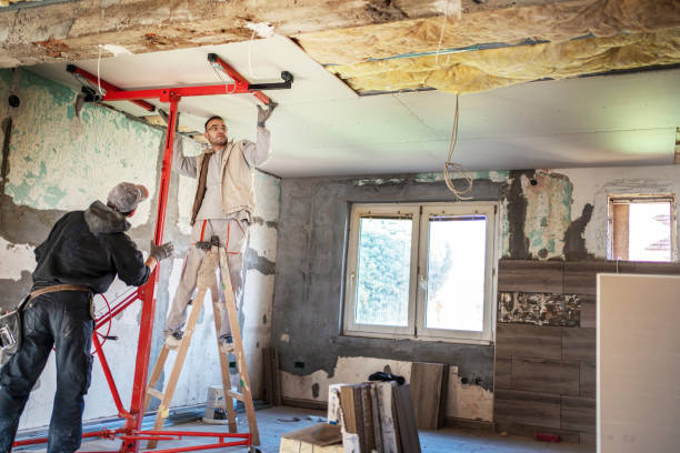 Best Insulation Removal  in Auburn, NY