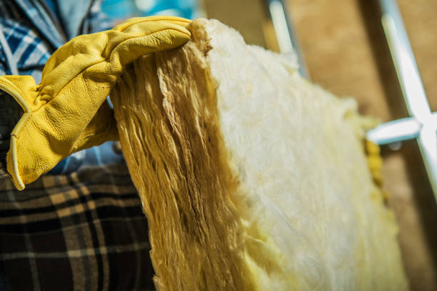 Best Best Insulation Companies  in Auburn, NY