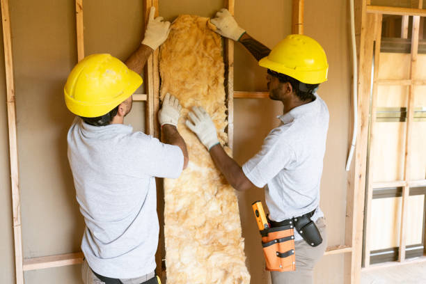 Best Soundproof Insulation Installation  in Auburn, NY