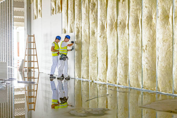 Best Insulation Contractors for Homes  in Auburn, NY